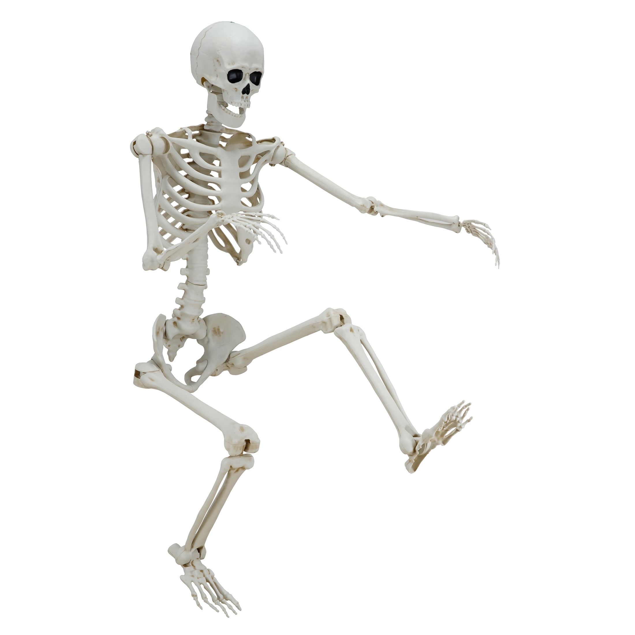 Way To Celebrate Hanging Posable Skeleton Decoration, White, 5 Ft photo 5