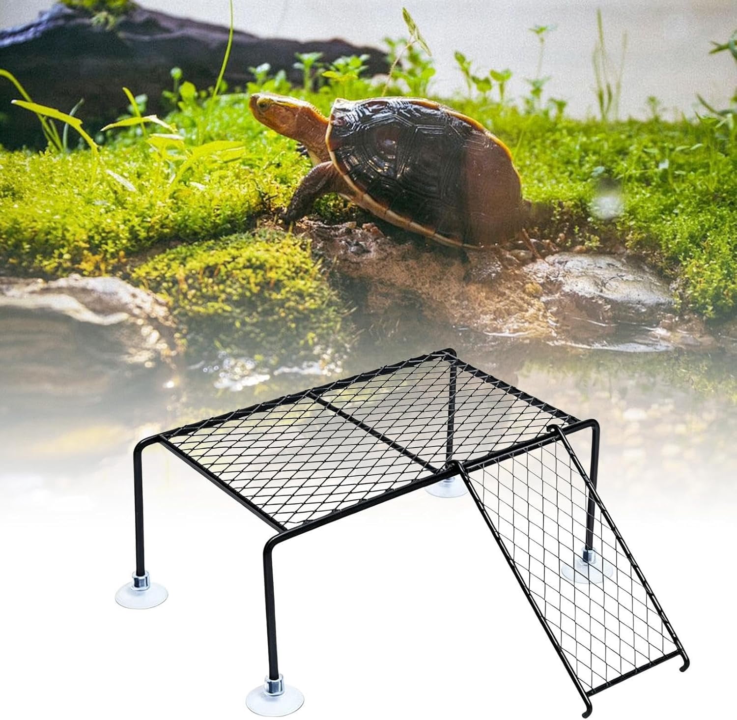 Turtle Basking Platform with Suction Cups, 23x32x11 cm for Aquarium Tank