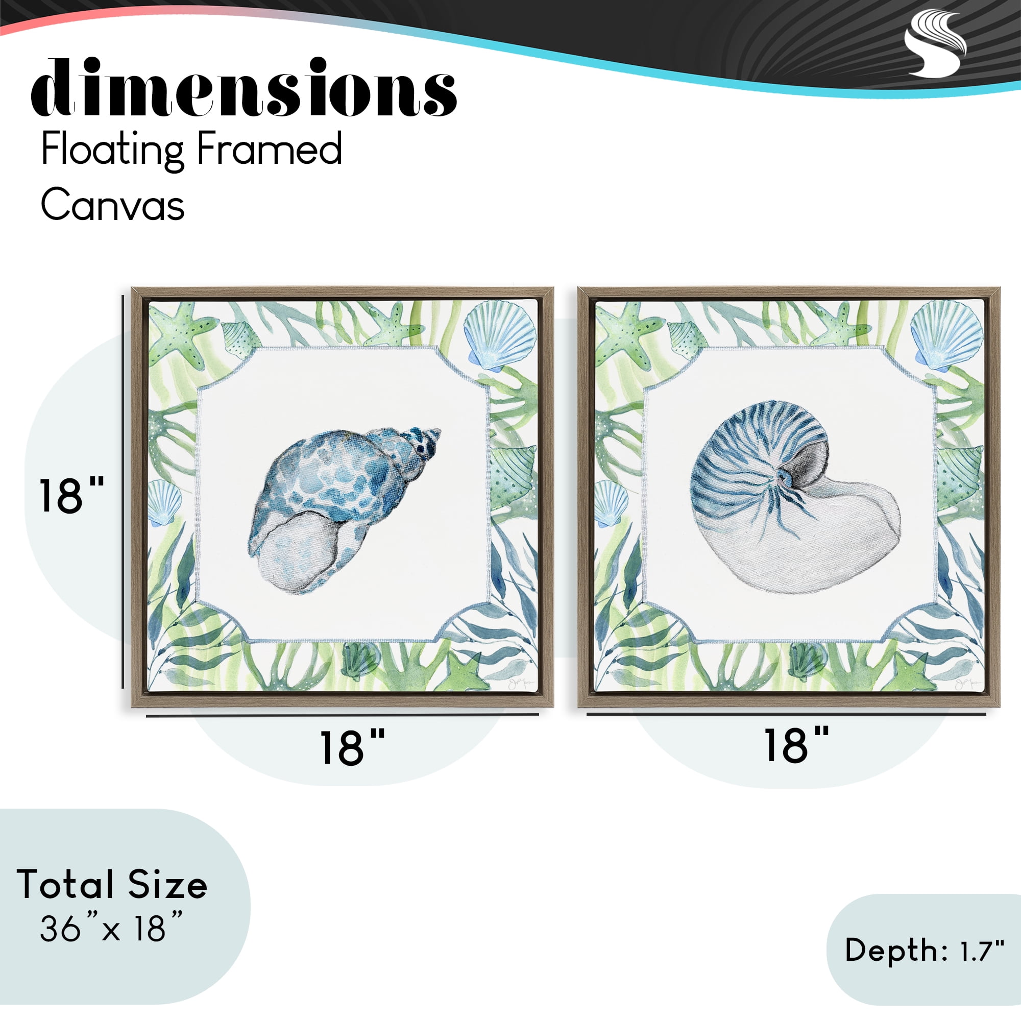 Stupell Industries Seaweed Bordered Seashells 2 Piece Brown Framed Floater Canvas Set, design by Janet Tava