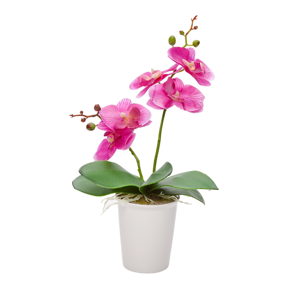 Fiore Round Purple Plastic Orchid in Porcelain Pot 5 Blooms 4" x 4" x 14" 12 count box