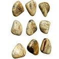 thumbnail image 2 of Uttermost Pebbles Contemporary Wood Wall Decor in Natural (Set of 9), 2 of 6