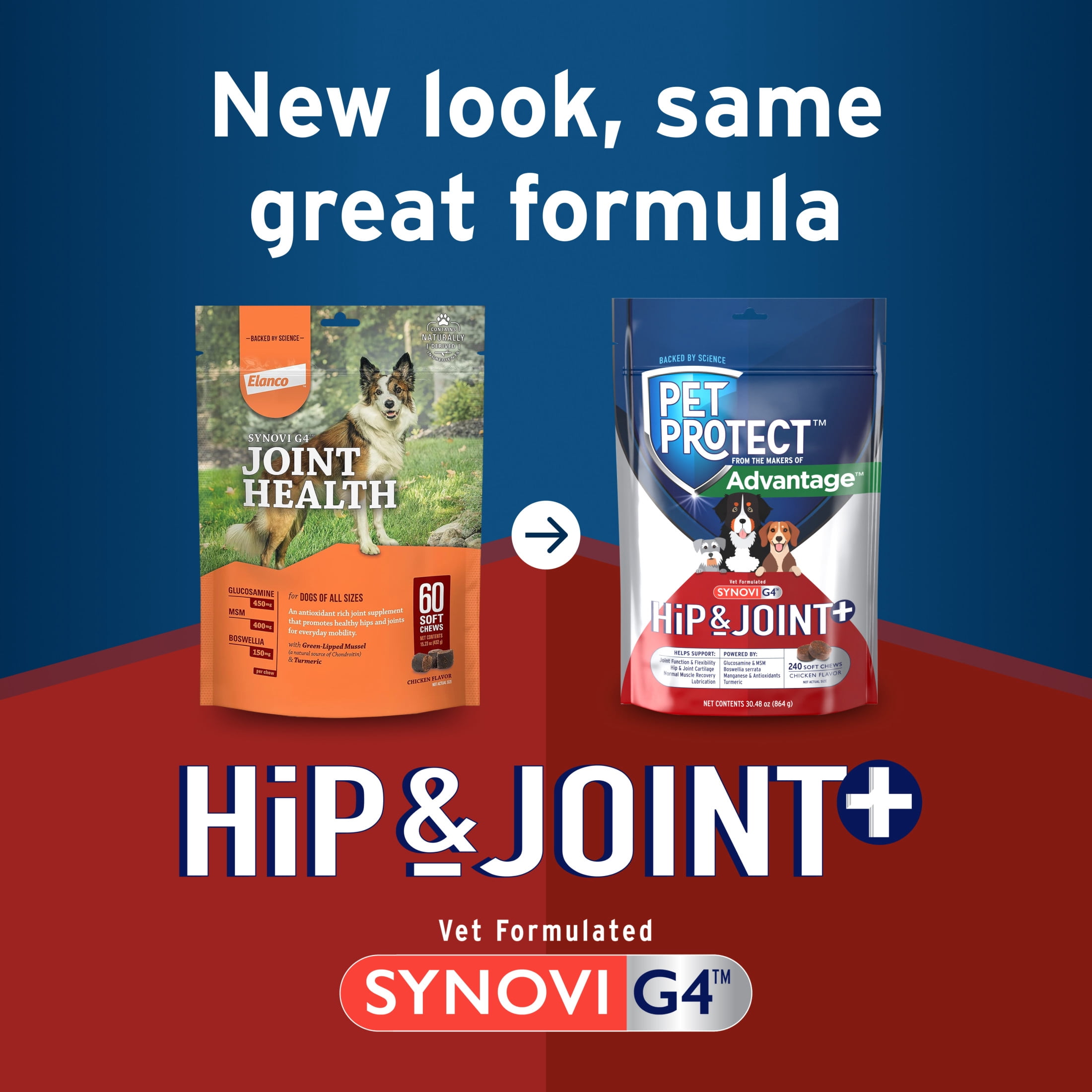 Pet Protect Dog Hip & Joint+ Supplement, Vet-Formulated Synovi G4, Chicken, 240 Soft Chews