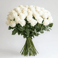 thumbnail image 2 of 50 Stems of Assorted White Mother's Day Roses- Beautiful Fresh Cut Flowers- Next Day Delivery, 2 of 6