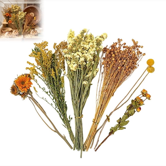 Natural Hamster Hay Bedding for Small Animals Soft Dried Bedding for Nesting and Comfort in Indoor Habitats