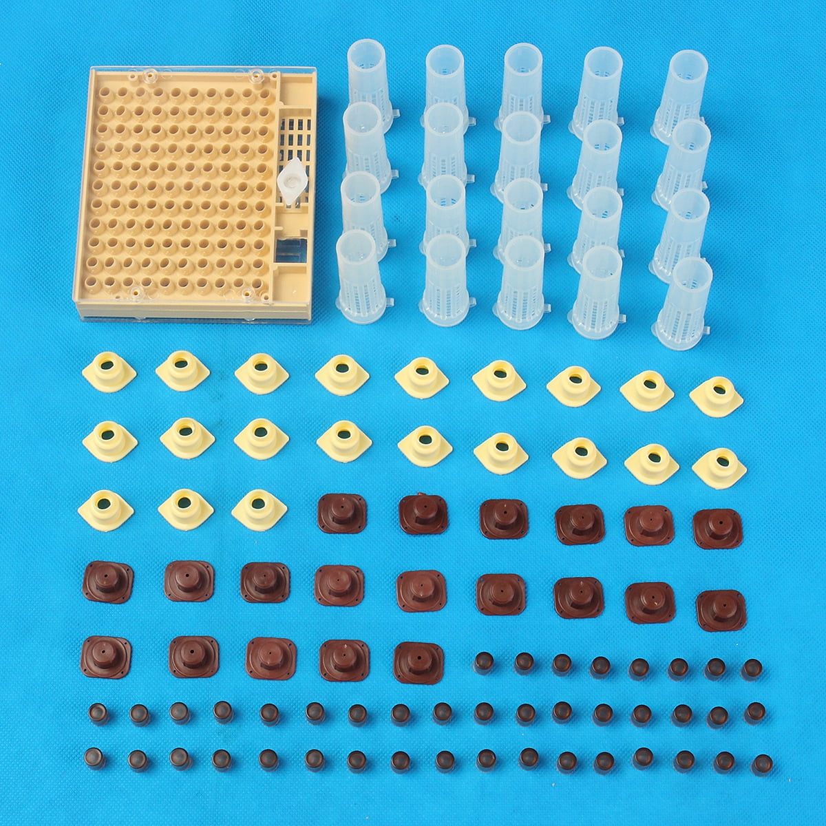 131pcs Bee Queen Rearing Cupkit Box System Beekeeping Kit Cell Cup Cage I8A1