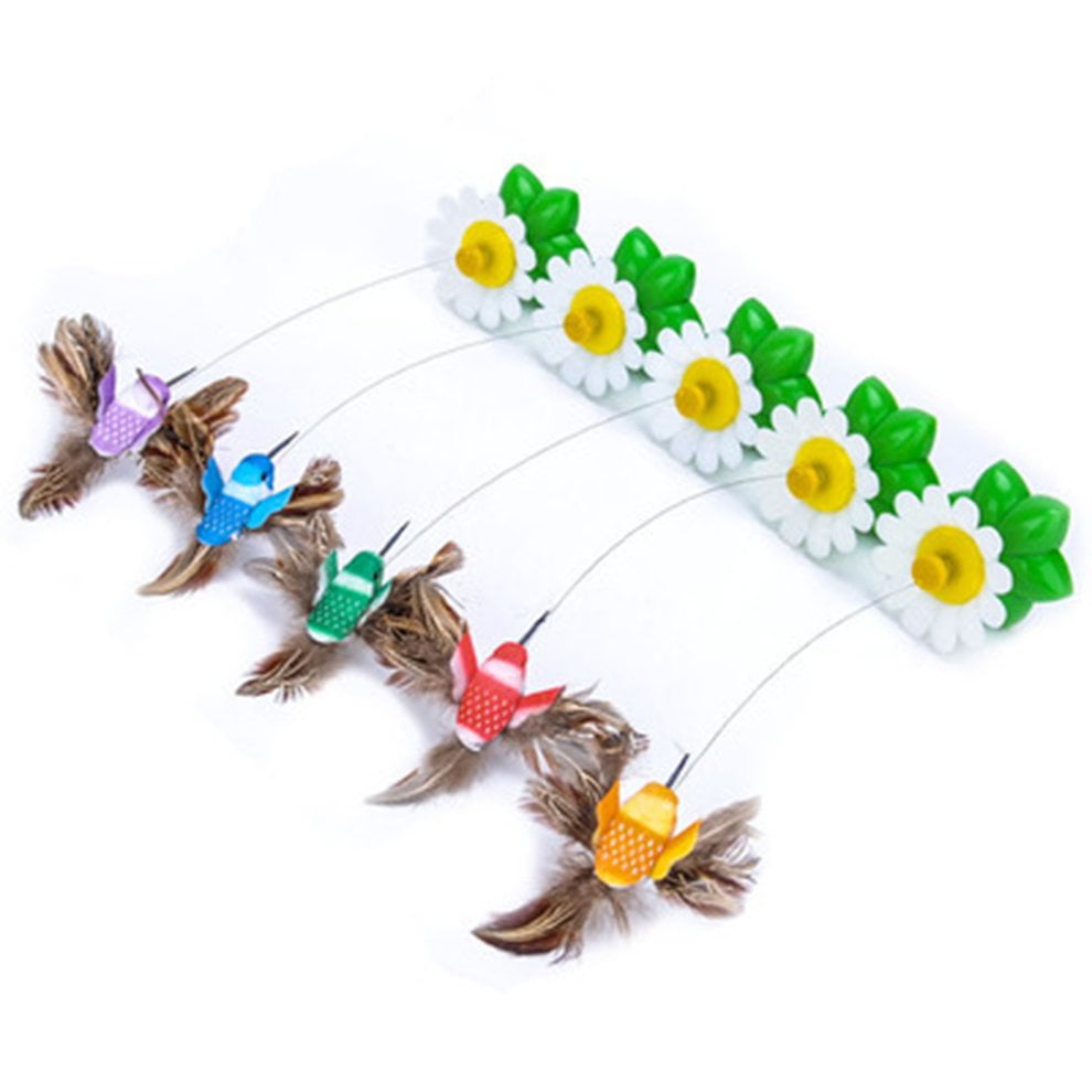 hummingbird cat toy