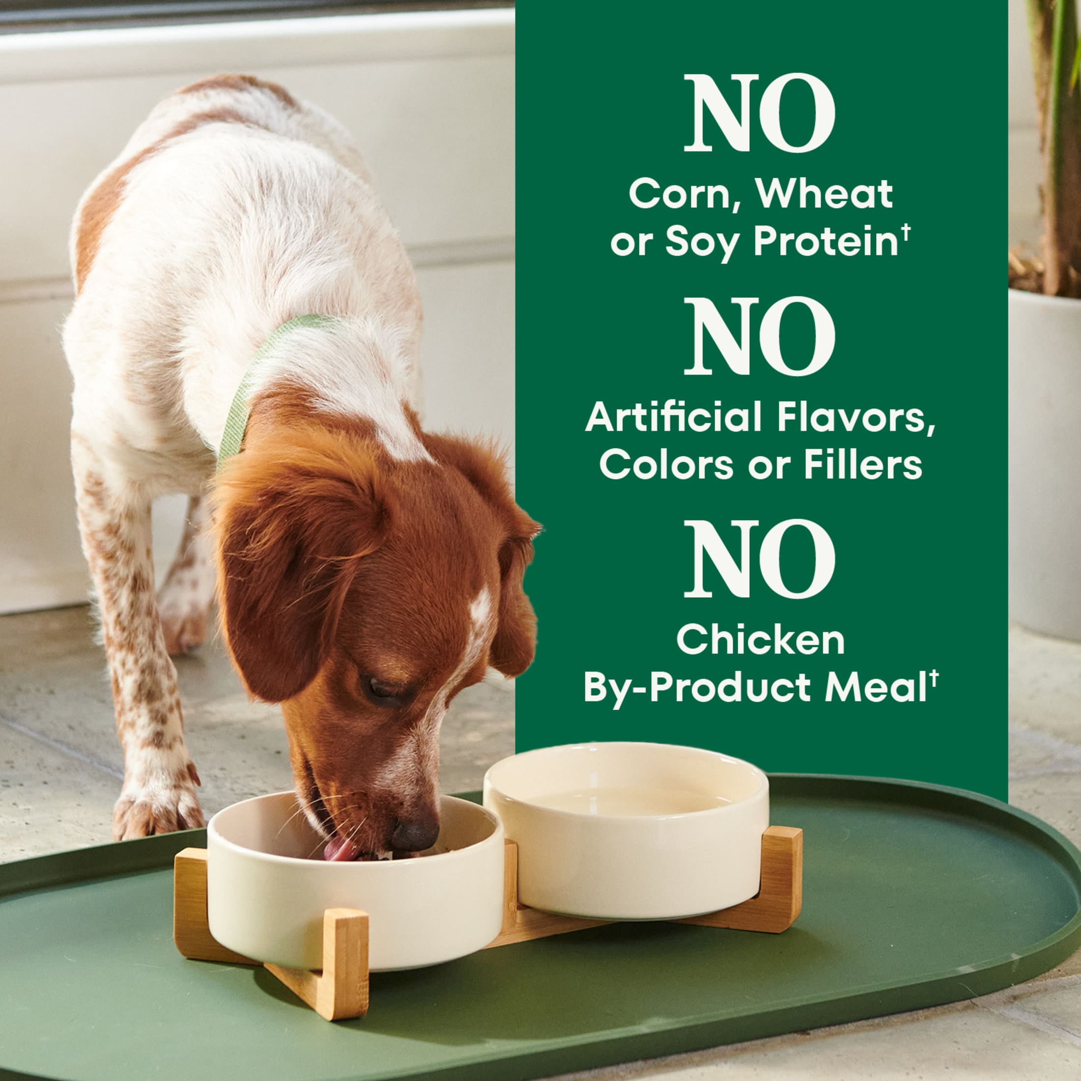 Nutro Natural Choice Adult Small Bites Dog Food Recipe Lamb & Brown Rice, 12 Lb Bag