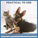 thumbnail image 5 of Lima de uñas para mascotas Lima de uñas para perros de acero inoxidable Esmalte de uñas para perros Cuidado de garras para mascotas, lima de patas de perro Lima de uñas para mascotas con man, 5 of 5