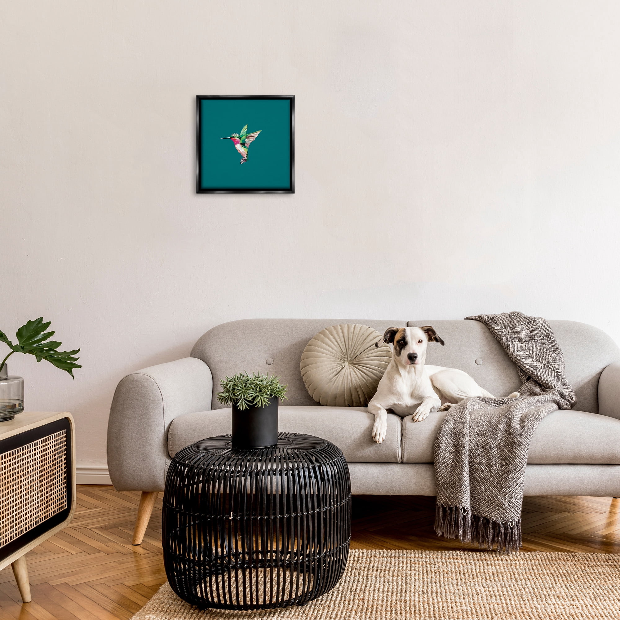 Stupell Industries Hummingbird with Crown Animals & Insects Painting Black Floater Framed Canvas Art Print Wall Art, 18 x 18