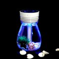 thumbnail image 1 of Jinsinto Liseng Cool Air Humidifier, Cleaner, USB Charger, with LED Light, Moisturizing, 1 of 5