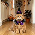 thumbnail image 5 of Halloween Witch Costume for Cats – Lace Scarf + Pointed Hat Set, Adjustable Elastic Fits Kittens & Small Cats, Purple Photo Prop, 5 of 5