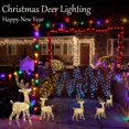 thumbnail image 2 of Sylvtty Christmas Lighted Reindeer Decorations Glowing Plastic Deer Ornaments with LED Lights for Indoor Outdoor Holiday Display, 2 of 7