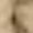 Beige, variant on Bibifish Womens Pants Waterproof Long Length Outdoor Hiking Pants With Detachable Leg Casual Soft Outdoor Activity Wear Pants