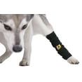 AGON® Canine Dog Hock Brace Rear Leg Joint Wrap Protects Wounds as they