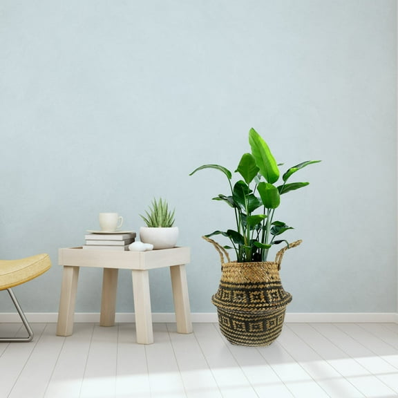 Supvox Tall Wicker Storage Basket Hand Woven Basket For Plants Decorative Portable