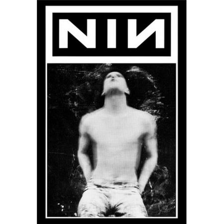 Poster Import XPSFX1011 Nine Inch Nails Torso Poster Print, 24 x (Best Way To Hang Posters Without Nails)