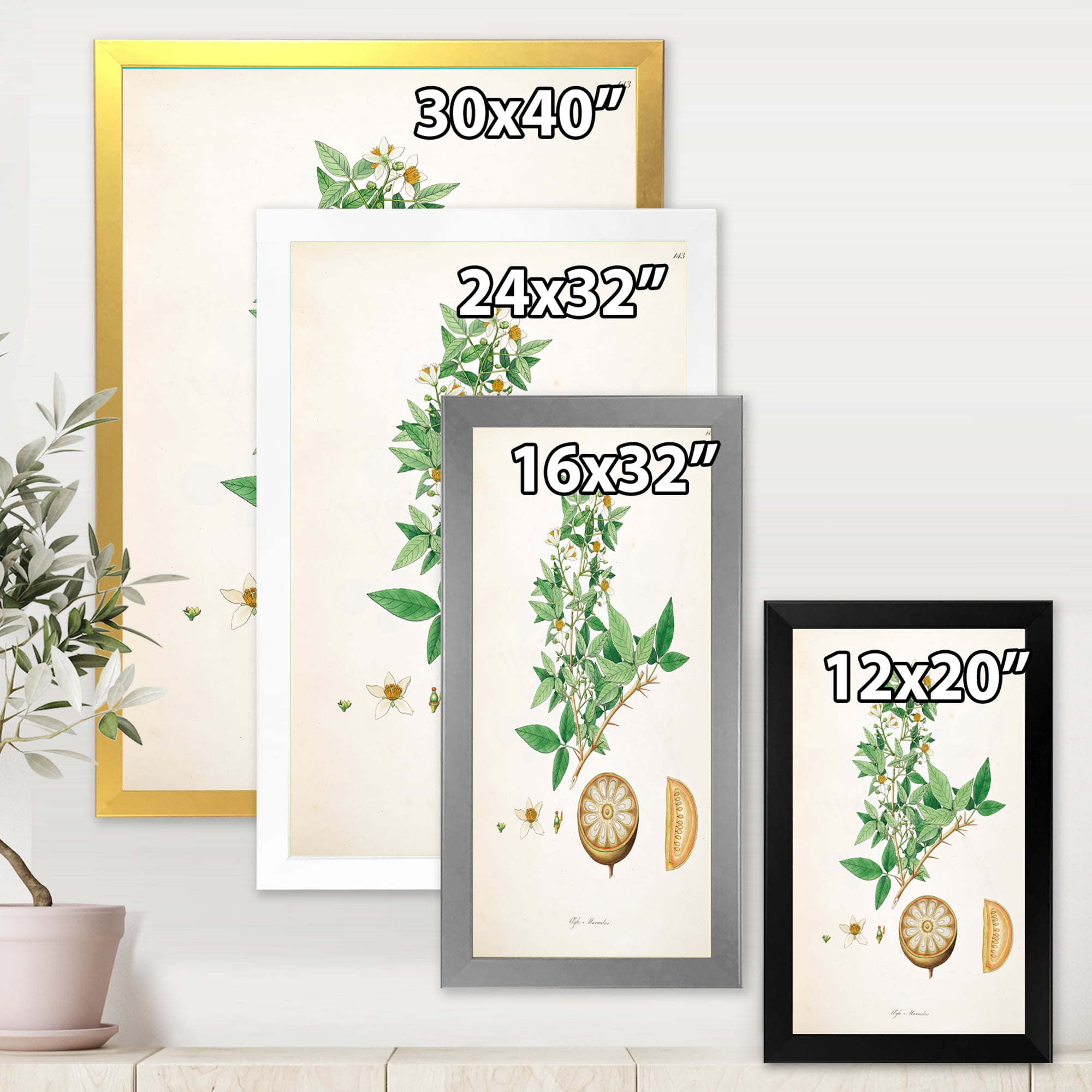 Designart 'Ancient Plant Life X' Farmhouse Framed Art Print