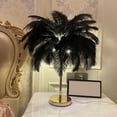 thumbnail image 4 of Ostrich Feather Night Light, Rechargeable Modern LED Decorative  Light with Feathers Dimmable Bedside Table Lamp Touch Switch Ostrich Feather Lamp for Bedroom Nightstand, 4 of 8