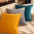 thumbnail image 2 of Cterwk 1 Pack Velvet Throw Pillow Cover Soft Square Cushion Case Modern Decorative Pillowcase for Couch Bed Sofa Chair, 16" x 16", 2 of 8