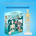 thumbnail image 2 of Human Body Simulation Organ Model Children‘S Toys  Organ Bone Structure  Cognitive Science Education Puzzle  Diy Model Teaching, 2 of 8