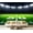 Color 4, variant on Wall Mural Peel and Stick three mexican pork carnitas tacos flat lay composition Self-Adhesive Wallpaper Removable Wall Decal Wall Sticker Home Decor for Living Room Bedroom 100"x144"