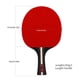 thumbnail image 5 of Pala Ping Pong 2 Raquetas Y 3 Pelotas Con para Torneos (Mango Largo), 5 of 6