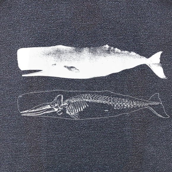 T-shirt Premium pour Hommes avec Squelette de Baleine