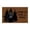 As shown, variant on Liamobondopolis Halloween Doormat Halloween Sale Witch Pumpkin Coir Non Slip PVC Back Halloween Decor for Front Porch Entryway Halloween Party Decorations 23.62In X 15.74In