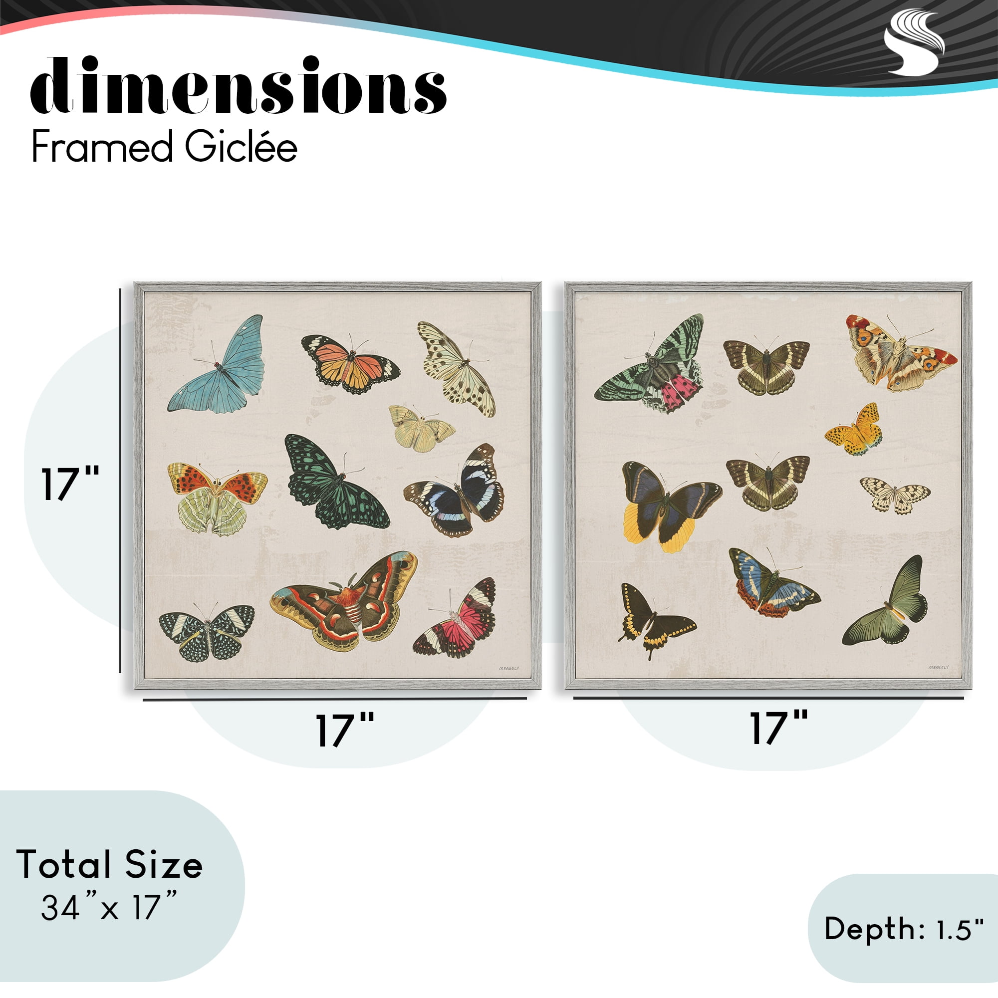 Stupell Industries Collection of Vintage Butterflies 2 Piece Gray Framed Giclee Art Set, design by Dan Meneely
