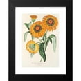 thumbnail image 2 of Charles Antoine Lemaire 18x24 Black Modern Framed Museum Art Print Titled - Gazania Bright (Hybrid) (1854-1896), 2 of 5