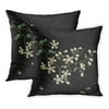 ECCOT Embroidered Sakura Bloom Beautiful Flowers Apple Blossom Blooming Butterfly Cherry PillowCase Pillow Cover 20x20 inch Set of 2