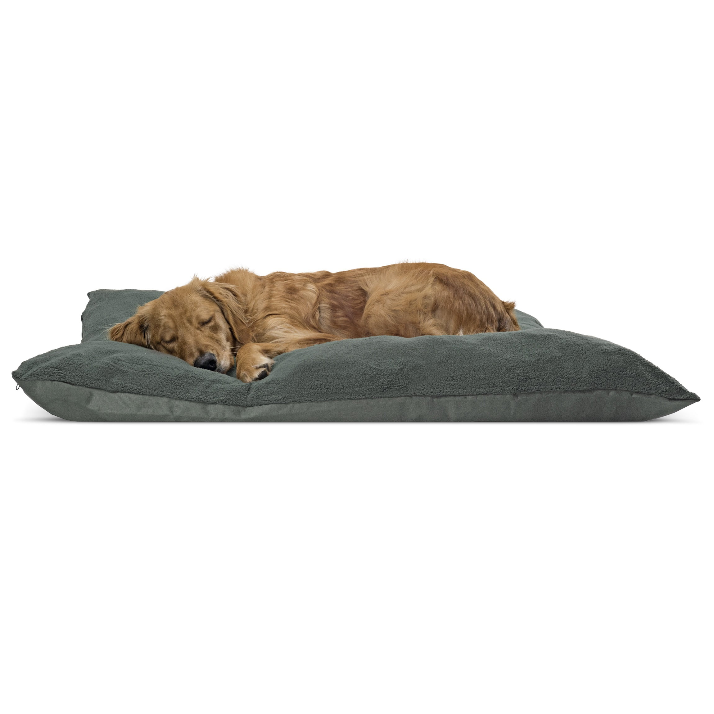 walmart dog beds extra large