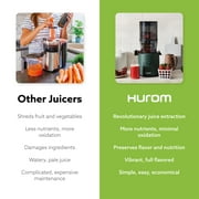 Hurom Cold Press Juicer Machine, H320 Low Pulp Slow Juicer (Kale Green)