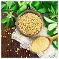 thumbnail image 4 of Everwilde Farms - 1/4 lb Fenugreek Herb Seeds - Gold Vault Bulk Seed Packet, 4 of 4