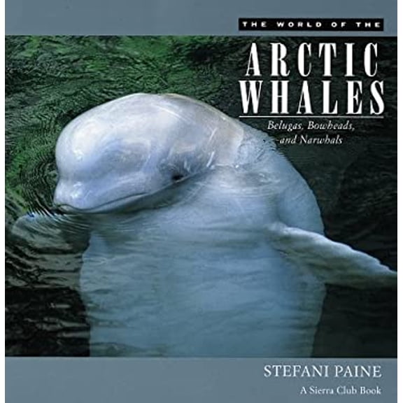 Pre-Owned The World of the Arctic Whales : Belugas, Bowheads, and Narwhals (Paperback)