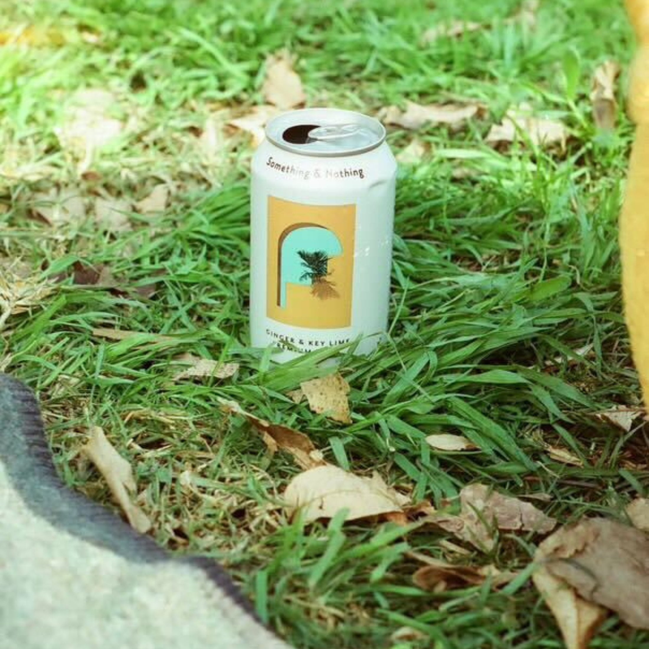 Something & Nothing Lightly Carbonated Ginger & Key Lime Premium Soda Case of 12 x 12 Fl Oz