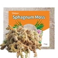 thumbnail image 1 of Yilotuce 11 oz Sphagnum Moss for Plants, Carefully Selected Clean Sphagnum Mos for Rooting Plants, 1 of 5