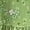 Green, variant on 2024 Spring and Summer New Women's Printing Splicing Skirt Layered Mini Dress Fashion