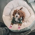 thumbnail image 4 of Calcetines antideslizantes para perros tejidos para uso en interiores - Control de tracción de piso de madera dura para mascotas pequeñas y medianas (rosa, m) Sincero mascotas, 4 of 7