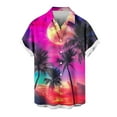 thumbnail image 5 of WAENQINLA Mens Hawaiian Shirts Regular Fit Short Sleeve Button Down Shirt with Pocket Big and Tall Tropical Holiday Beach Printed Shirts, 5 of 6