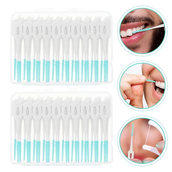 RAGUPEL 80Pcs Portable Hygienicing Toothpicks Dental Floss Picks Interdental Hygienicing