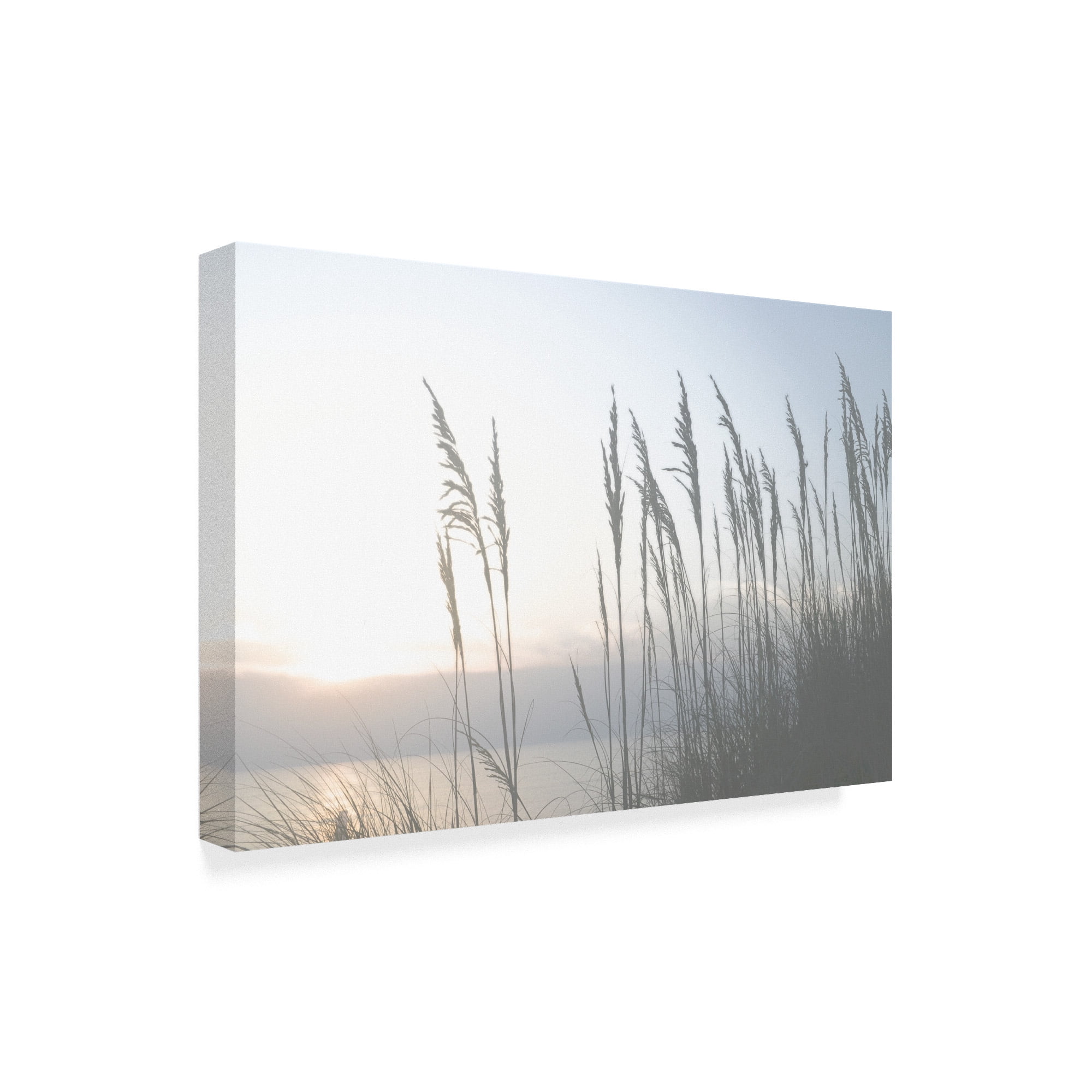 Trademark Fine Art 'Morning Whisper II' Canvas Art by Sharon Chandler