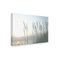 thumbnail image 2 of Trademark Fine Art 'Morning Whisper II' Canvas Art by Sharon Chandler, 2 of 4