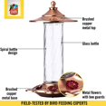 thumbnail image 3 of Classic Brands CLASSIC34 Glory HumBird Feeder 14 oz, 3 of 7
