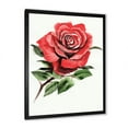 thumbnail image 2 of Designart 'Ancient Red Rose Flower III' Traditional Framed Art Print, 2 of 4