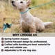 thumbnail image 5 of Correa antideslizante para perro, cuerda de entrenamiento de nailon fuerte con tapón ajustable con resorte  5/16 x 6 pies, correa resistente sin tirones para perros pequeños, medianos y grandes, 5 of 5