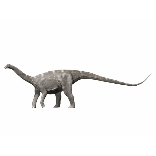 nigersaurus rex