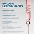 thumbnail image 2 of 1Q Solutions Focus Liquid Cognitive & Brain Support Natural Drops for Kids - Acetyl L-Carnitine + B1, B6, B12 & Folate - Sugar-Free, Vegan, Gluten-Free, Hypoallergenic with Micellar Technology, 2 of 10