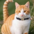thumbnail image 4 of Vintage Style Leather Breakaway Cat Collar - Cute Cat Collar Adjustable, Durable, Retro Bell - Suitable for All Types of Cats and Small Dogs(Red）, 4 of 9