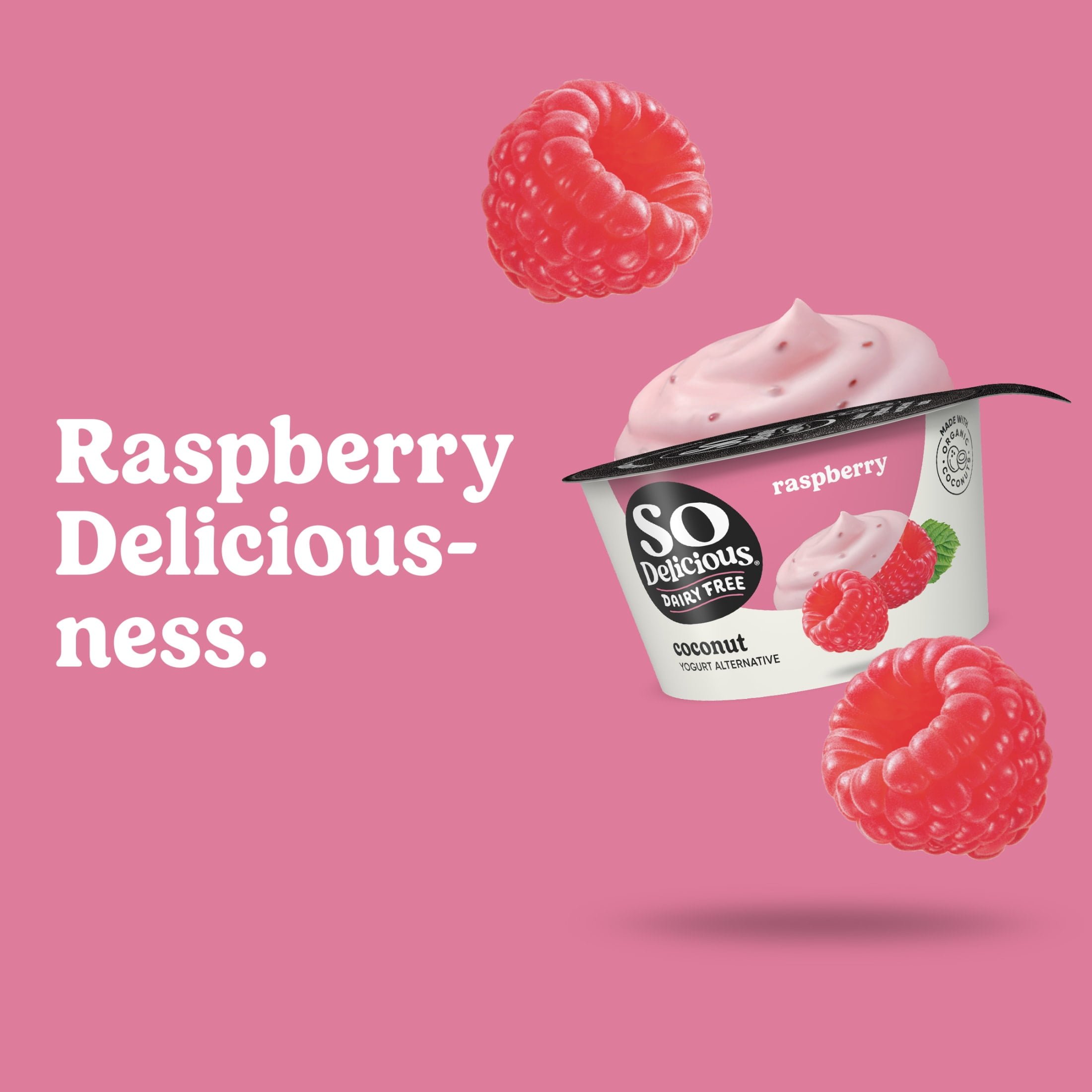 So Delicious Vegan, Dairy Free Raspberry Coconut Yogurt Alternative, 5.3 oz Container